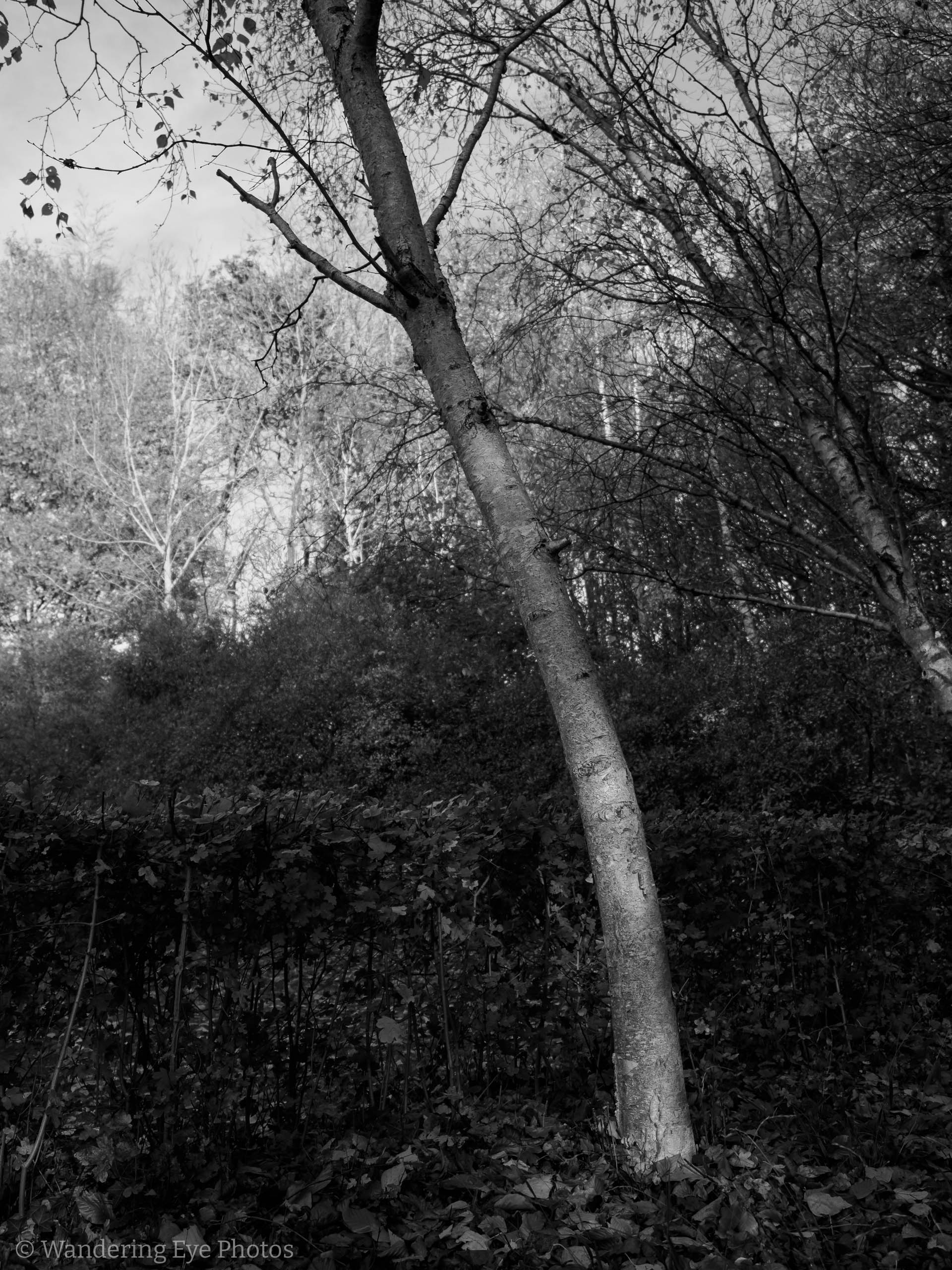 11.09 10.48.22   PB090104